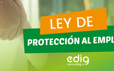 ¿Qué es la ley de protección al empleo?