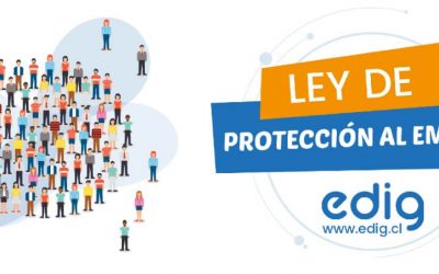 Cómo aplicar la Ley de Protección al Empleo con el Sistema de Remuneraciones Edig
