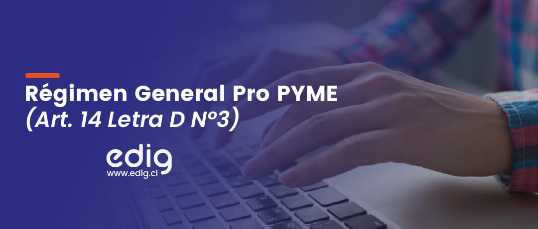 Régimen Pro Pyme General 14 D N° 3