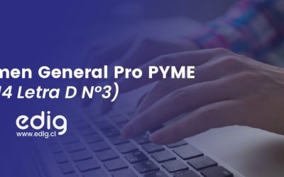 Régimen Pro Pyme General 14 D N° 3