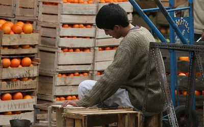 Proyecto que regula el trabajo adolescente será ley: Multas más duras y nuevos requisitos