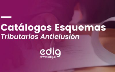 El esquema antielusión. Catálogo de escenarios tributarios