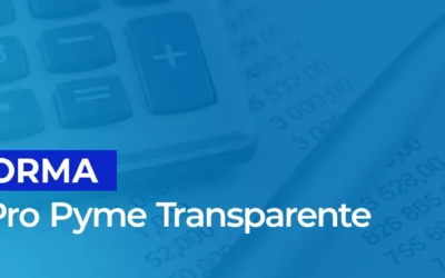 Régimen Pro Pyme Transparente 14 D N°8