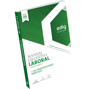 Las Organizaciones Sindicales