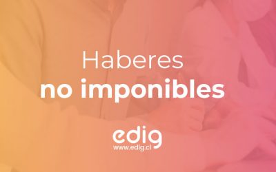 ¿Qué son los haberes no imponibles y qué tipos existen?
