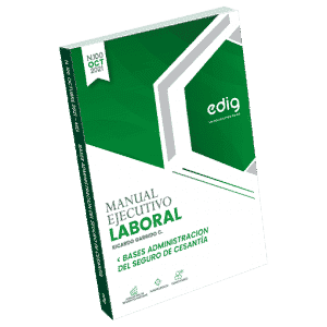 Manual Laboral Base Administración Seguro de Cesantía en papel