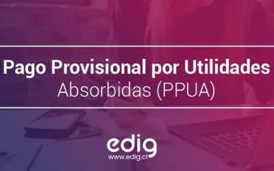¿De qué se trata el PPUA en Chile?