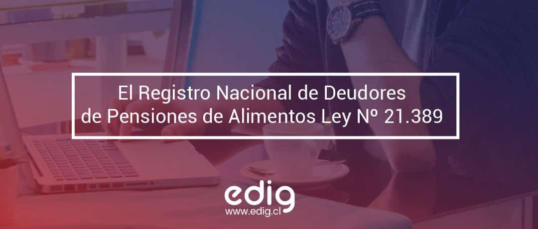 ¿Qué es el Registro Nacional de Deudores de Pensiones de Alimentos?