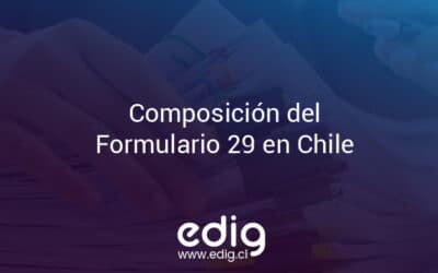Composición del Formulario 29 en Chile