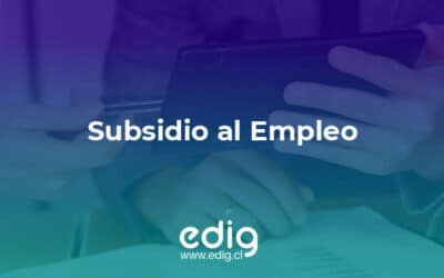 Subsidio al empleo en Chile: ¿Cuántos hay?