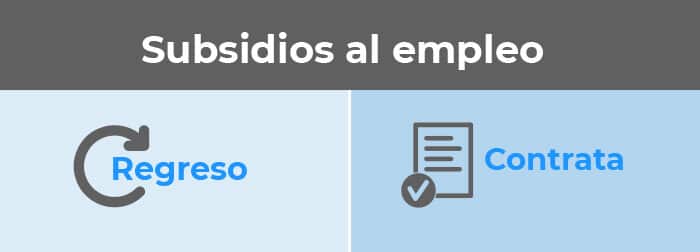 tipos_subsidios_al_empleo existen dos tipos de subsidio al empleo principales