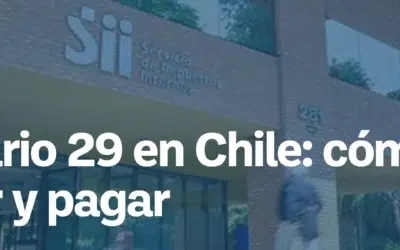 Formulario 29 en Chile: qué es, plazos y cómo declararlo