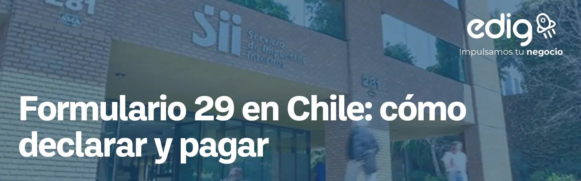 conoce los conceptos y la gestion del formulario 29 en Chile